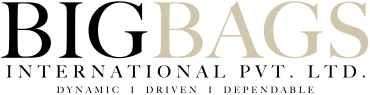 bigbags-logo